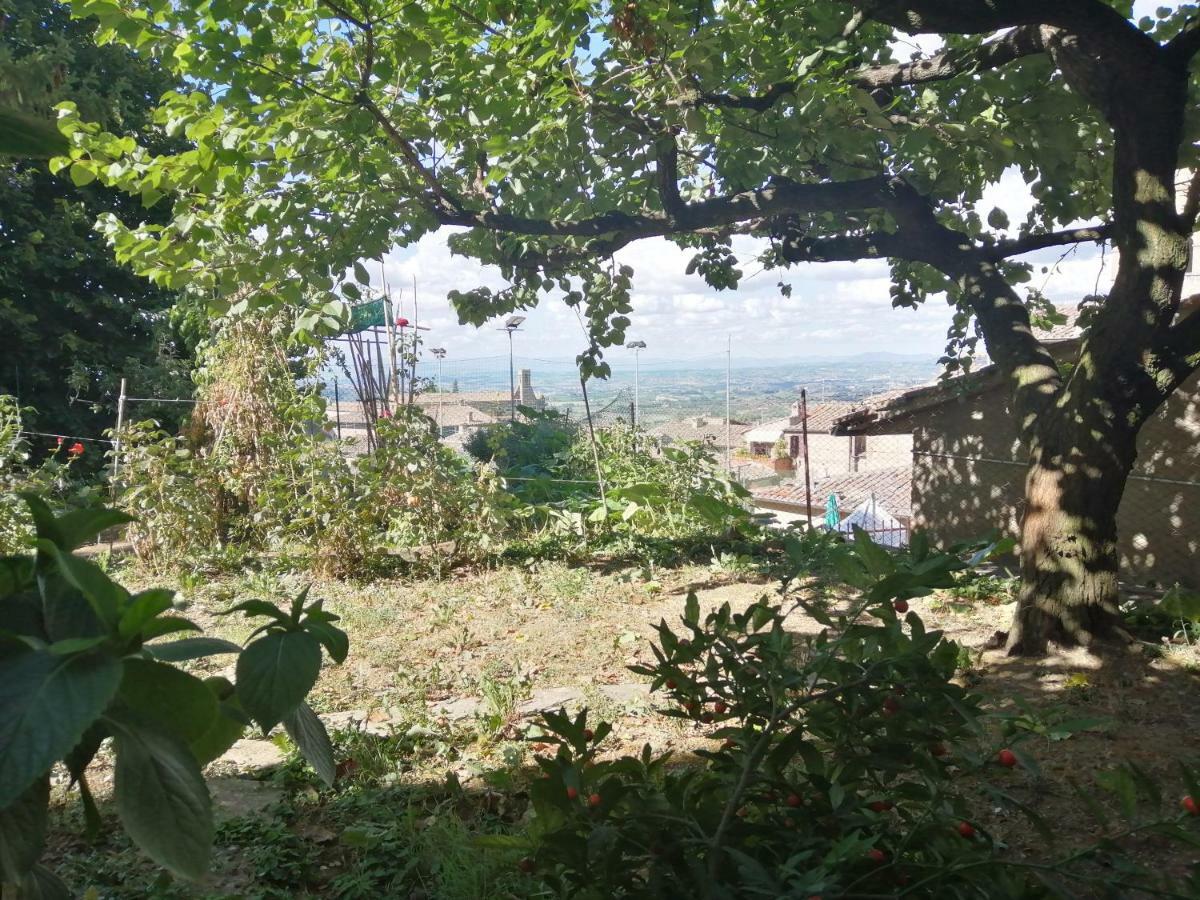 Ferienwohnung Orto Di Emma San Gimignano Exterior foto