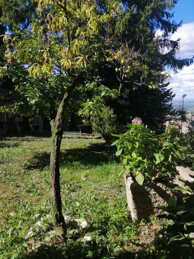 Ferienwohnung Orto Di Emma San Gimignano Exterior foto